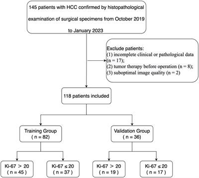 Intratumoral and peritumoral radiomics model based on abdominal ultrasound for predicting Ki-67 expression in patients with hepatocellular cancer